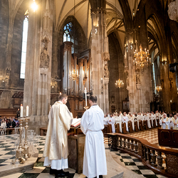 Chrisammesse 2025 / Erzdiözese Wien/ Schönlaub, Stephan Schönlaub